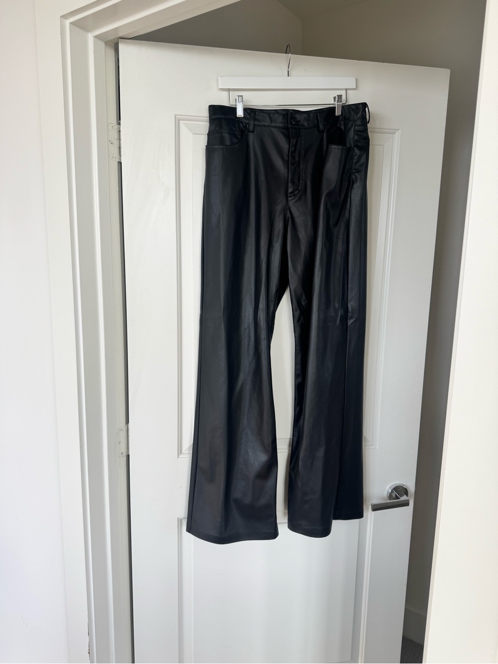 ZARA Leather Pants